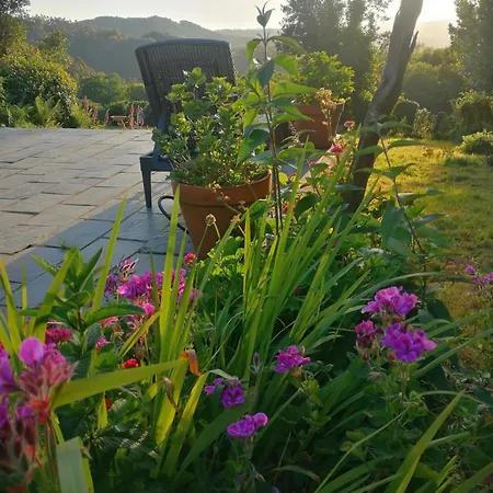 Holiday home Casa De Piedra En Pequena Aldea De Ortigueira