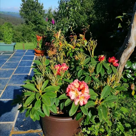 Casa De Piedra En Pequena Aldea De Ortigueira Holiday home *